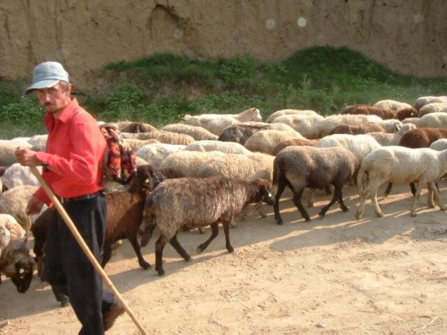 Demult 2003-2004 cine mai stie.... - unnamed-5.jpg